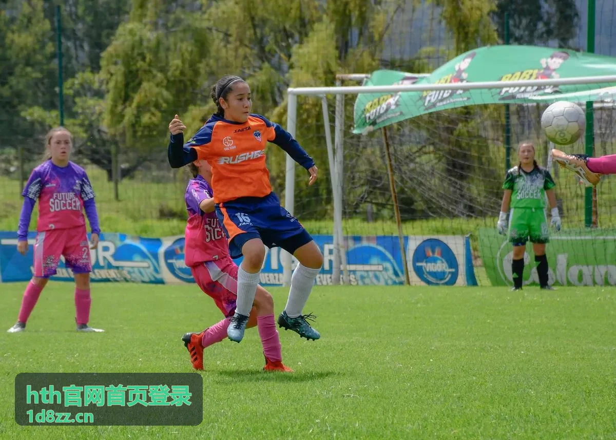 hth官网首页登录渠道合作案例